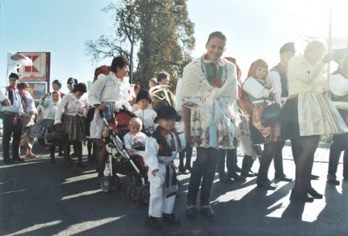Slavnosti vína - 13.9.2008